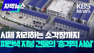 시체 처리하는 소각장까지파란색 지붕 건물의 충격적 사실  KBS 20241023 [upl. by Selokcin171]