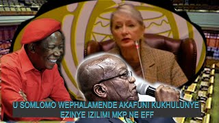 USOMLOMO WEPHALAMENDE UPHIKISA MKP NE EFF KUTHI BAKHULUME ISIZULU NGOBA YENA AKEZWA [upl. by Feer531]