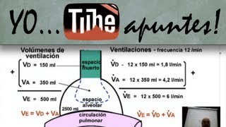 Fisiología del sistema respiratorio Ventilación alveolar [upl. by Frodina]