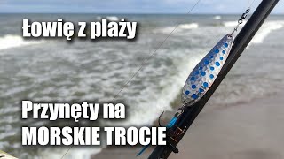 Przynęty na MORSKIE TROCIE  Wybrałem się na plażę za trocią [upl. by Kienan]