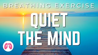 Breathing Exercises with Guided Meditation  5 Minutes  TAKE A DEEP BREATH [upl. by Nagud]