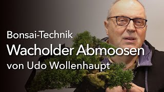 Wie werden aus einem Bonsai zwei BonsaiTechnik Abmoosen mit Udo Wollenhaupt [upl. by Yllime899]