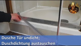 Dusche Tür undicht Duschdichtung austauschen [upl. by Netsew]