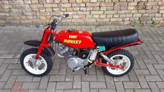 Dirt Monkey 50cc kids motorbike off road moped V501M [upl. by Fujio118]