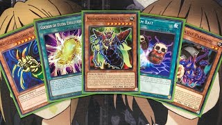 My Insect Queen Yugioh Deck Profile for May 2021 [upl. by Eimaj]