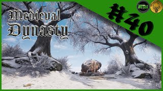 Medieval Dynasty Oxbow 🌴 40 Ein Geschmückter Stein ► Lets Play CoOp 60FPSDeutschPC [upl. by Gregson]