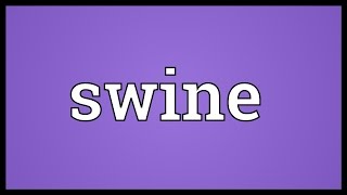 Swine Meaning [upl. by Oconnor275]