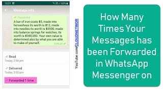 How To Forward Message On WhatsApp iPhone [upl. by Adoree]