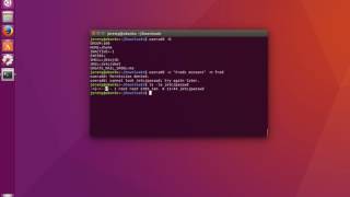 Linux Basics How to Add a User Account [upl. by Oisacin]