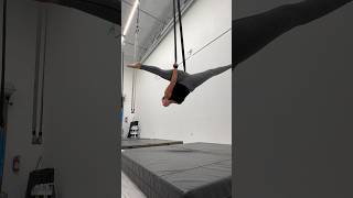 Aerial straps split combo aerial straps silks performance aerialsilks strapscombo acrobatics [upl. by Hollenbeck]