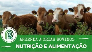 Aprenda a criar bovinos  Aula 5 nutrição e alimentação [upl. by Malan]