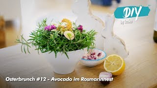 Osterbrunch 12 Avocado im Rosmarinnest [upl. by Atteuqehs668]