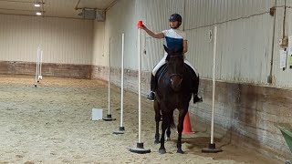 Working Equitation Ease Of Handling Level 2 Novice A [upl. by Edge]