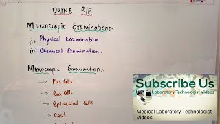 How to Make complete Urine RE reportan easy lecture in Hindi and Urdu [upl. by Anul196]