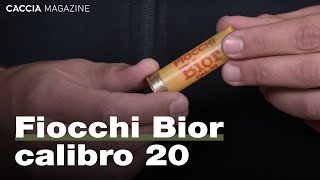 Fiocchi Bior calibro 20  Recensione e prova di rosata [upl. by Adnawot288]