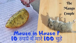 This is how we killed Rats from our house  100 effective solution for mouse [upl. by Lleunamme]