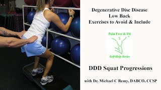 Degenerative Disc Disease Exercises to Avoid amp Include  Squat Progressions [upl. by Yrellav41]