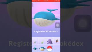 Evolve Wailord from Wailmer with IV 100  Pokemon Go [upl. by Jesse]