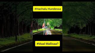 Hachalu Hundessa Maal Mallisaa new Albuma 2021 music lyrics video shorts oromomusic shortvideo [upl. by Castora]