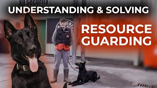 How Do You Know That Your Dog is Resource Guarding [upl. by Calysta]