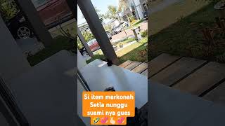 Setia menantinyasi Markonah lgi hamil🤷🏻cat [upl. by Lahcar]