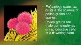 define palynology  pollengrains and newpalynology application in botany [upl. by Joann]