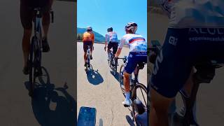 TADEJ POGACAR ride with amateur cyclists 😅 tadejpogacar insta360 worldchampion cycling [upl. by Halyk]