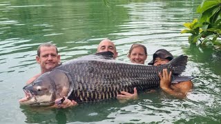 Gillhams Fishery Thailand  4 days in paradise I LANDED THE HUGE ALI HAMIDI ESCAPEE SIAMESE CARP [upl. by Heater822]