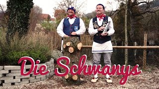 Die Woodys  Fichtl‘s Lied Parodie Die Schwanys Narrenverein Schwanenmühle Unterlauchringen [upl. by Squier58]