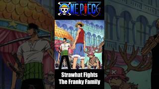 One Piece Franky Family Fight shorts onepiece anime [upl. by Starobin671]