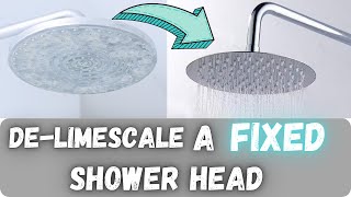 Remove LIMESCALE from a FIXED Head Shower  Quick Easy Advice [upl. by Narak]