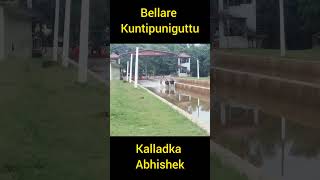 Bellare Kuntupuniguttu Kudi [upl. by Annahsat]