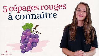 5 cépages rouges à connaître absolument cabernet sauvignon merlot pinot noir syrah et grenache [upl. by Hawken964]