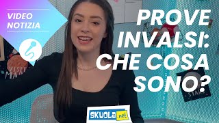 Prove Invalsi che cosa sono [upl. by Vergne126]