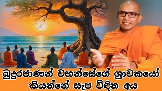 මං ඇත්තටම හරිම කැමතියි තිරිසන් සත්තු ඉන්න වනගත ජීවිතේටVenBalangoda Kassapa Thero [upl. by Keil14]