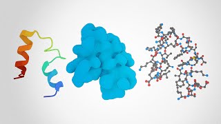 Proteins Explained [upl. by Nenad]