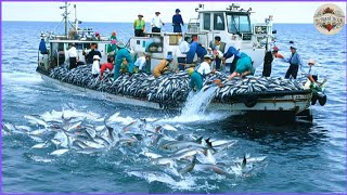 How Fishermen Catch Hundred of Tons of Fish in A Single Catch Using Bottom Trawling Fishing Method [upl. by Eesyak]