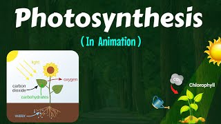 Photosynthesis Animation  Life Processes  Class 10th  CBSE  NCERT  Raah 9th amp10th [upl. by Vernice]