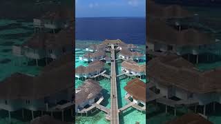 Centara Grand Island Resort amp Spa Maldives [upl. by Janeta]