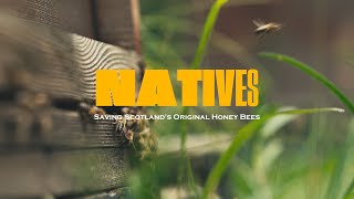 NATIVES Saving Scotlands Original Honey Bees [upl. by Namdor]