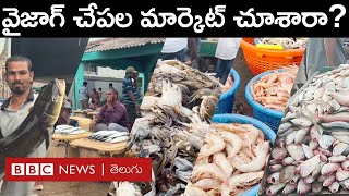 Vizag Fish Harbour ఫిషింగ్ హాలిడే ముగిసినా చేపల రేట్లు ఎందుకంత ఎక్కువగా ఉన్నాయంటే  BBC Telugu [upl. by Rivalee]