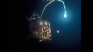 Finding Nemo 2003 Blenny eats the angler fish at the end of the Credits [upl. by Outhe872]