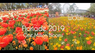 Floriade 2019 Full Walking Tour Australias Biggest Celebration of Spring Canberra ACT [upl. by Idnas]