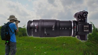 Cheap hobbyist Canon EF 70210mm f4 lens Photowalk amp Analysis [upl. by Temirf602]