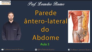 Parede ÂnteroLateral do Abdome  Aula 3  Anatomia Humana [upl. by Buehrer]