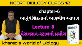 L08  Meselson–Stahl experiment  Molecular Basis of Inheritance  Ch6  Class 12 [upl. by Gatian]