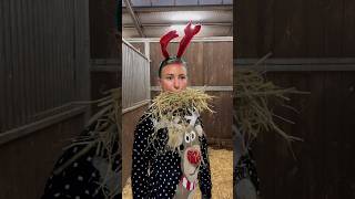 Pferdehofliebe  Schöne Feiertage 🎅🎄 pferdehofliebe froheweihnachten equestrian youtubeshorts [upl. by Nicolina]