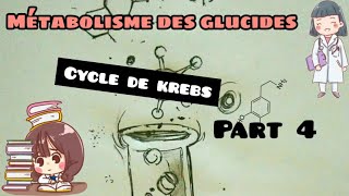 Métabolisme des glucides  cycle de krebs part 4 [upl. by Gargan]