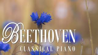 Beethoven  11 Bagatelles op 119  no 9 [upl. by Trebornhoj]