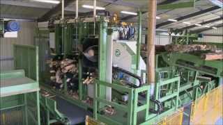 Special firewood equipment BOIS FACTORY 2 in France  Pezzolato firewood disc processor [upl. by Pittel]